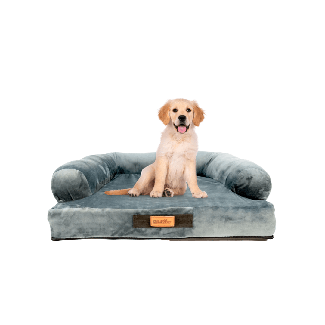 Cama Sofá Premium - RUKYORUKYO